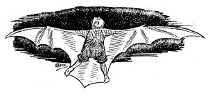 Illustration of Tla-meha, the Bat..
