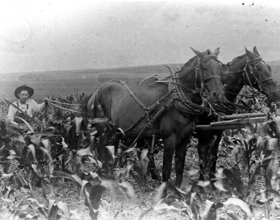 Black and white photograph of a farmer plowing a field