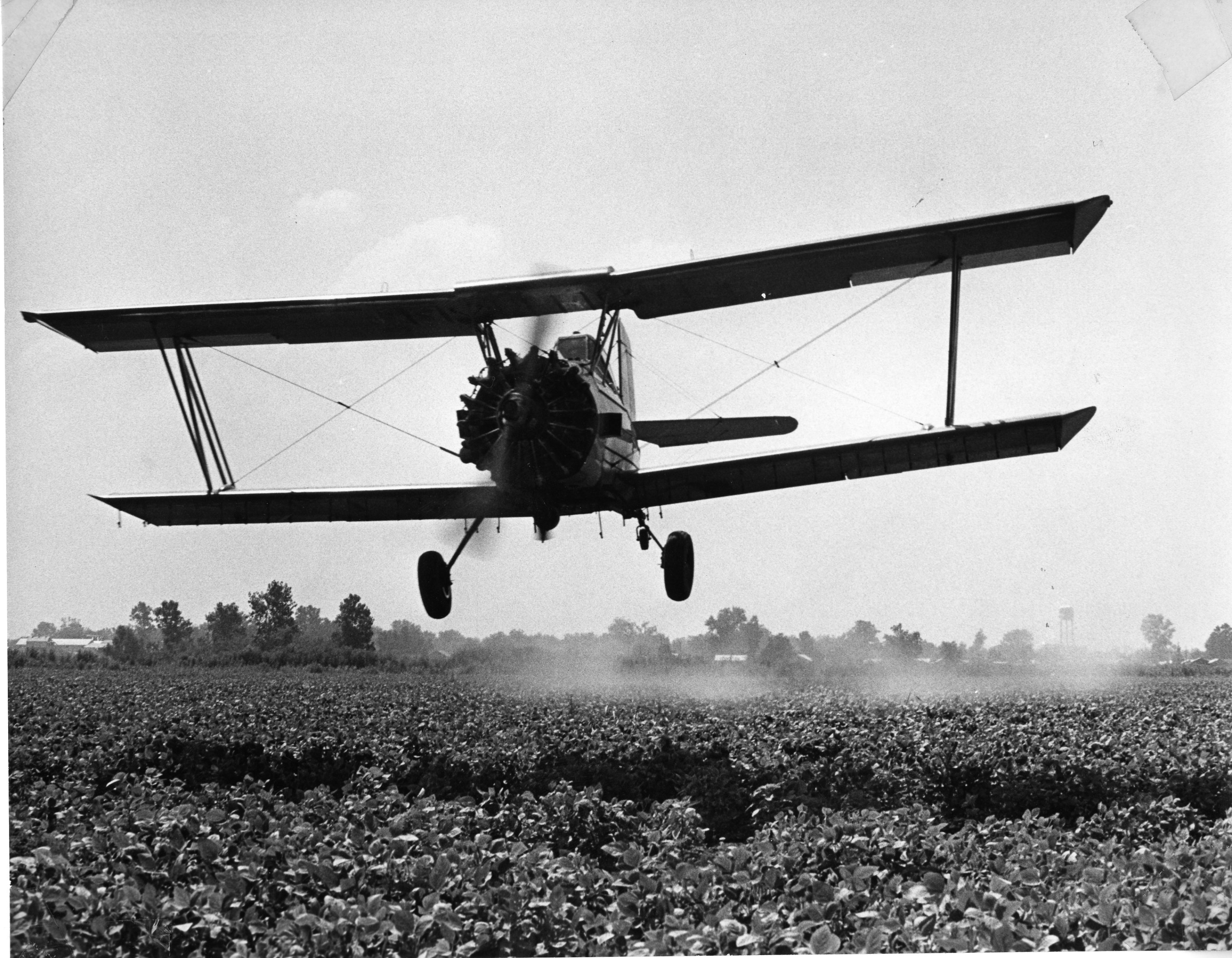 Crop dusting, undated Crop dusting, undated