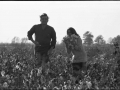 Cash and wife June in a cotton field in Dyess