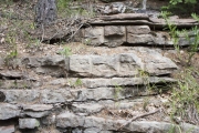 Rock drill marks on exposed rock face in the CCC Quarry.
