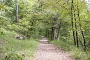 Trail to CCC Quarry.