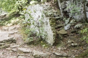 View of the CCC stonework on the Devil’s Den Trail