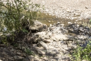 The remnants of one end of the original vehicular bridge crossing Lee Creek