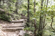 View of the CCC stonework on the Yellow Rock Trail