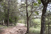 View of the CCC stonework on the Yellow Rock Trail