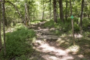 The stone steps leading up to the CCC camp trail