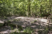 The remnants of the camp Kitchen and Mess Hall on the CCC Interpretive Trail