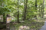 View of Cabin 12 from the driveway