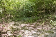Staircase from Cabins 16 and 17 to the CCC Interpretive Trail