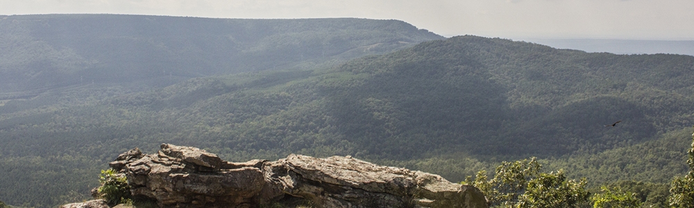 Mt. Nebo