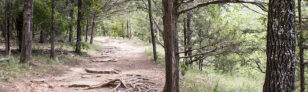 Devil's Den