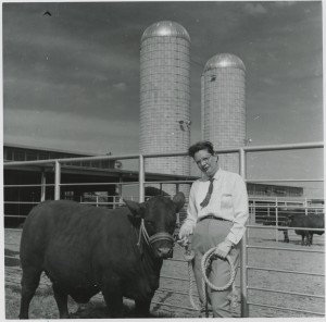 Jeannette leading a bull at Winrock Farms, ca 1958