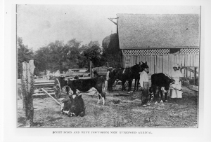 Scott Bond and Wife with New Cow in the Farmyard, black and white photo.