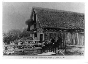 Several workers outside barn, Loading alfalfa, black and white.