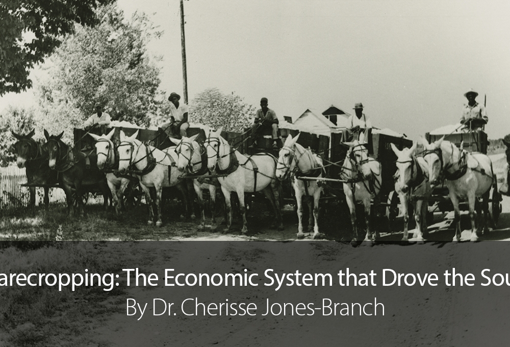 Sharecropping Feature Photo