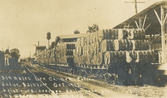 Cotton Bales Loaded on Train Cars in Lee County, October 1912