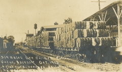 Cotton Bales Loaded on Train Cars in Lee County, October 1912 Cotton Bales Loaded on Train Cars in Lee County, October 1912
