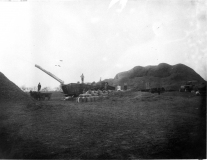 Harvesting Rice in De Witt, 1900 Harvesting Rice in De Witt, 1900