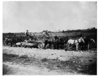 Mule-drawn Farm Equipment in De Witt, 1890