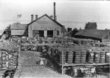 Scott Bond and Magnolia Near Barn, 1917
