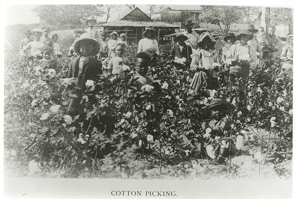 Children Picking Cotton, undated