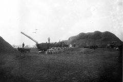 Harvesting Rice in De Witt, 1900