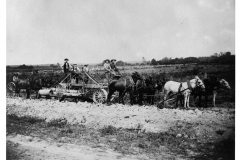 Mule-drawn Farm Equipment in De Witt, 1890