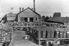 Scott Bond and Magnolia Near Barn, 1917
