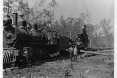 Logs being loaded on to train cars in Ashley County