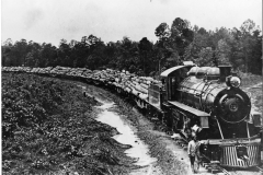 Train hauling flat cars of logs in Ashley County