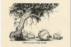 "What we see is what we got" by Jon Kennedy