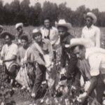 Heriberto Cortes-Cortes and a group of Mexican cotton pickers working on a cotton field. They wear broad-brimmed hats and carry large cotton sacks.