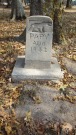 Restored headstone for center dog ''Papy,'' d. 1942