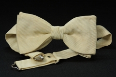 Image of Governor Charles Brough bow tie. Courtesy of the Old State House Museum Collection.