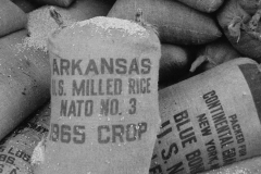 Vietcong rice cache in the Iron Triangle, Vietnam