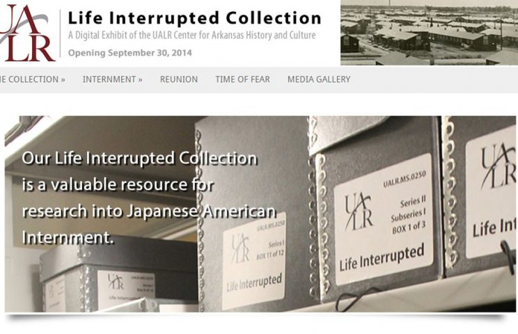 Screenshot of Life Interrupted exhibit